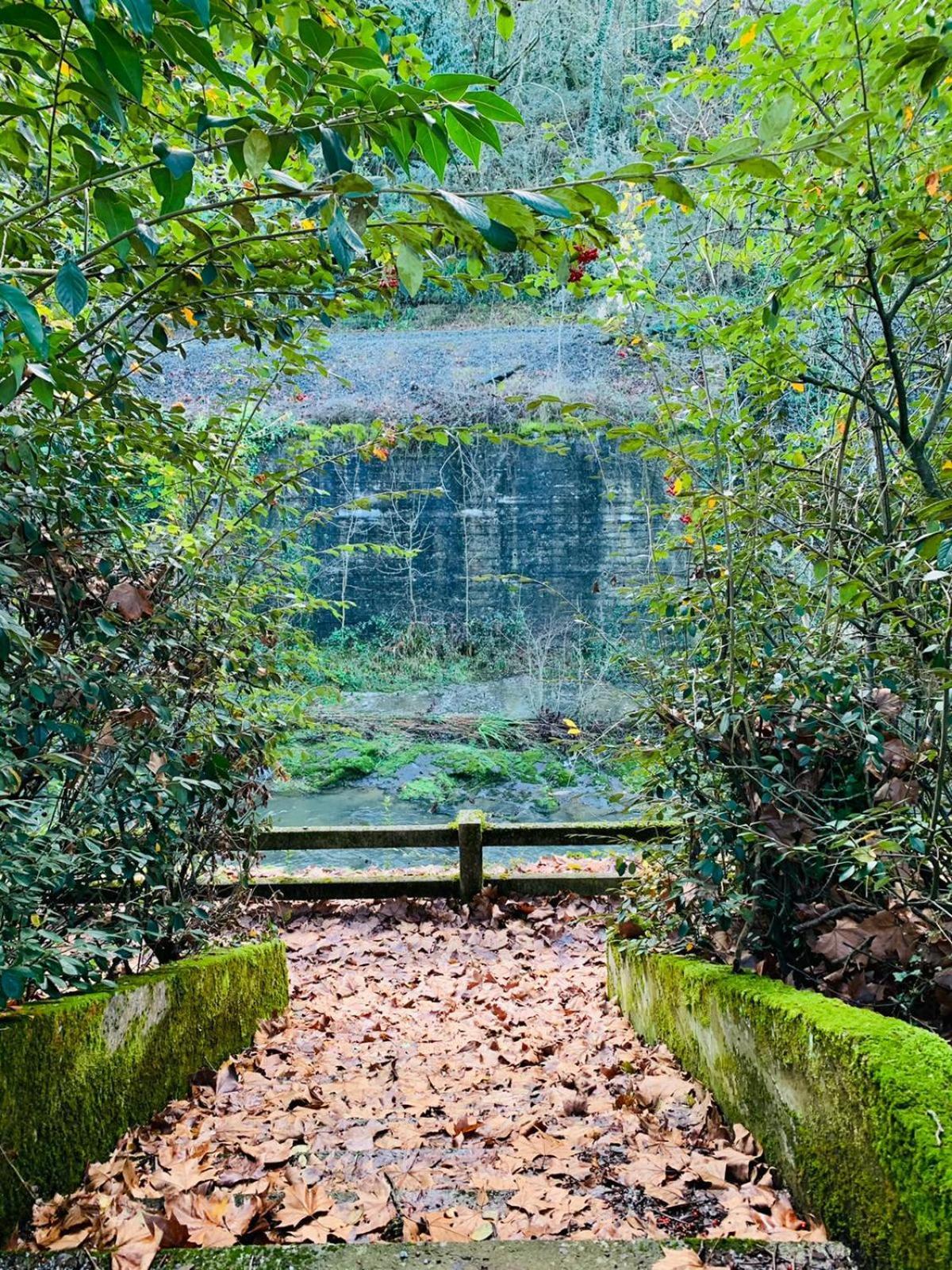 Balneario Casa Pallotti Carranza Buitenkant foto